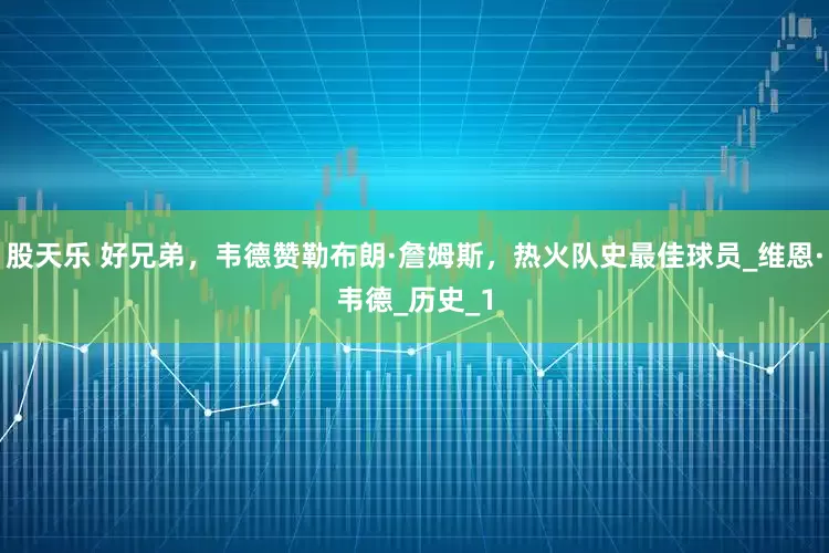 股天乐 好兄弟，韦德赞勒布朗·詹姆斯，热火队史最佳球员_维恩·韦德_历史_1