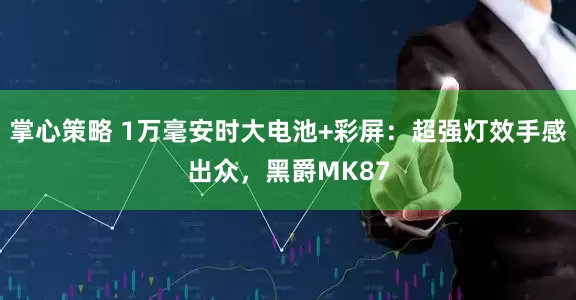 掌心策略 1万毫安时大电池+彩屏：超强灯效手感出众，黑爵MK87