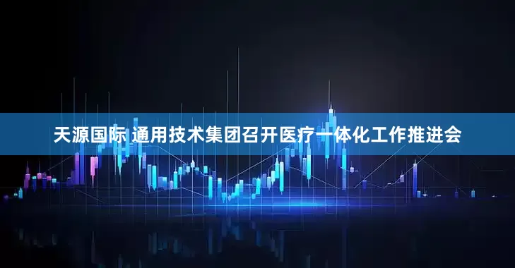 天源国际 通用技术集团召开医疗一体化工作推进会