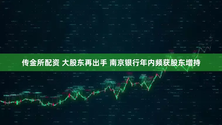 传金所配资 大股东再出手 南京银行年内频获股东增持