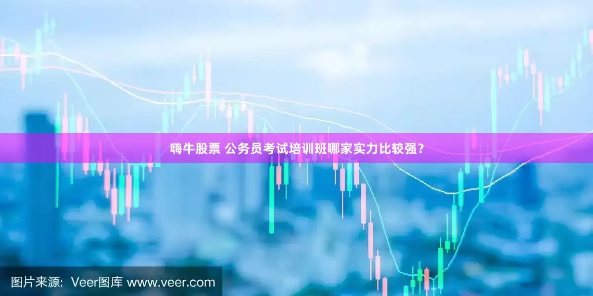 嗨牛股票 公务员考试培训班哪家实力比较强？
